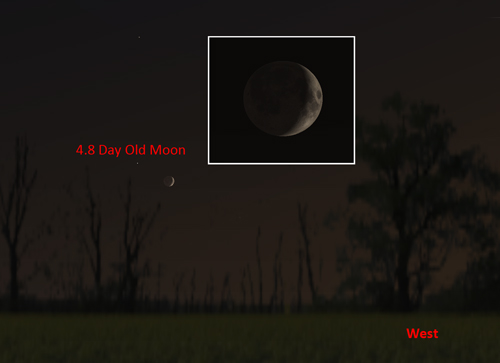 Moon